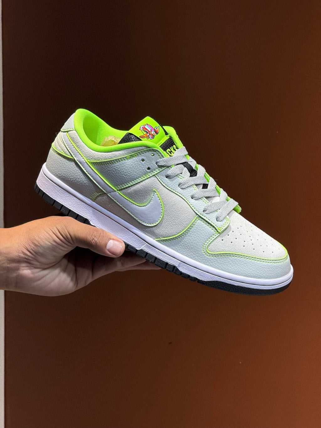 Nike dunk sb x ducks