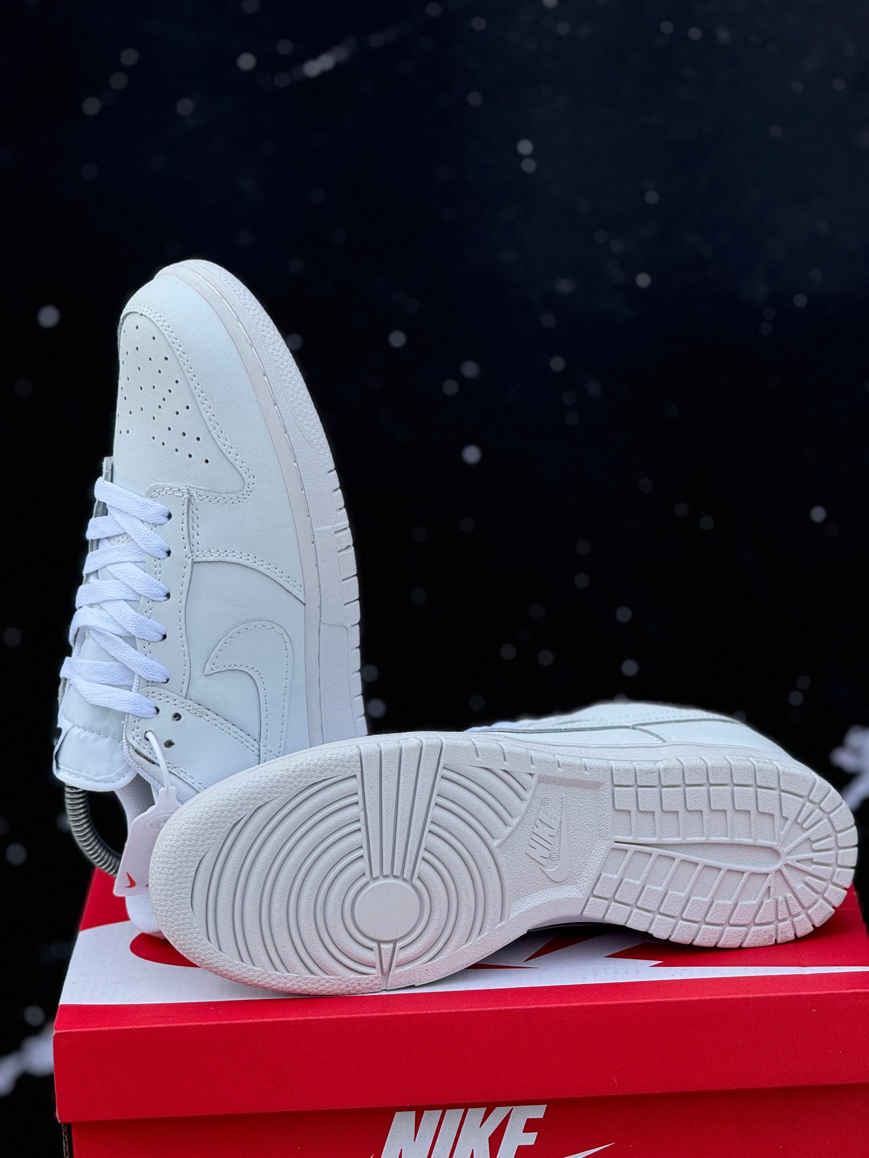 Nike dunk white