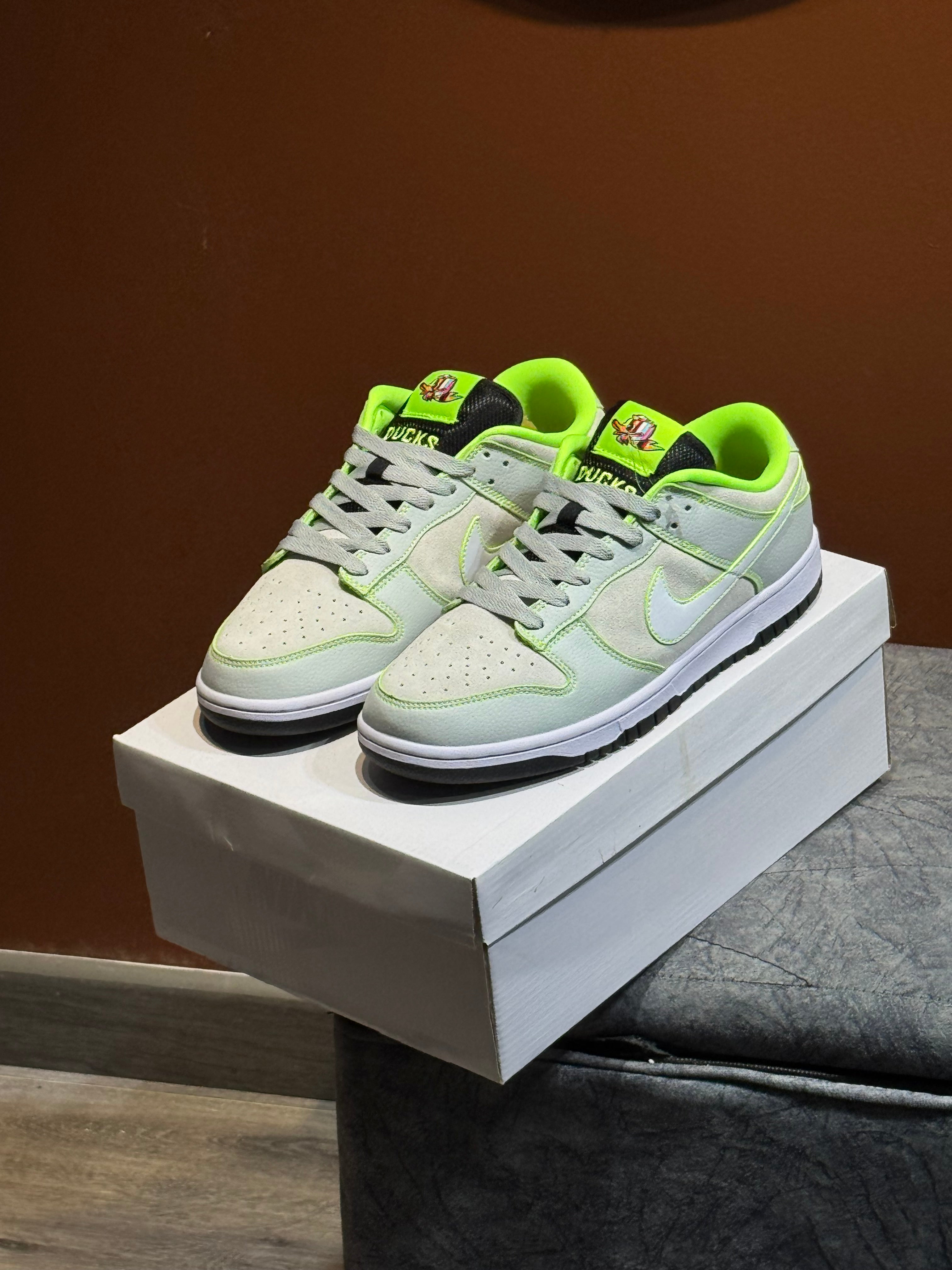 Nike dunk sb x ducks