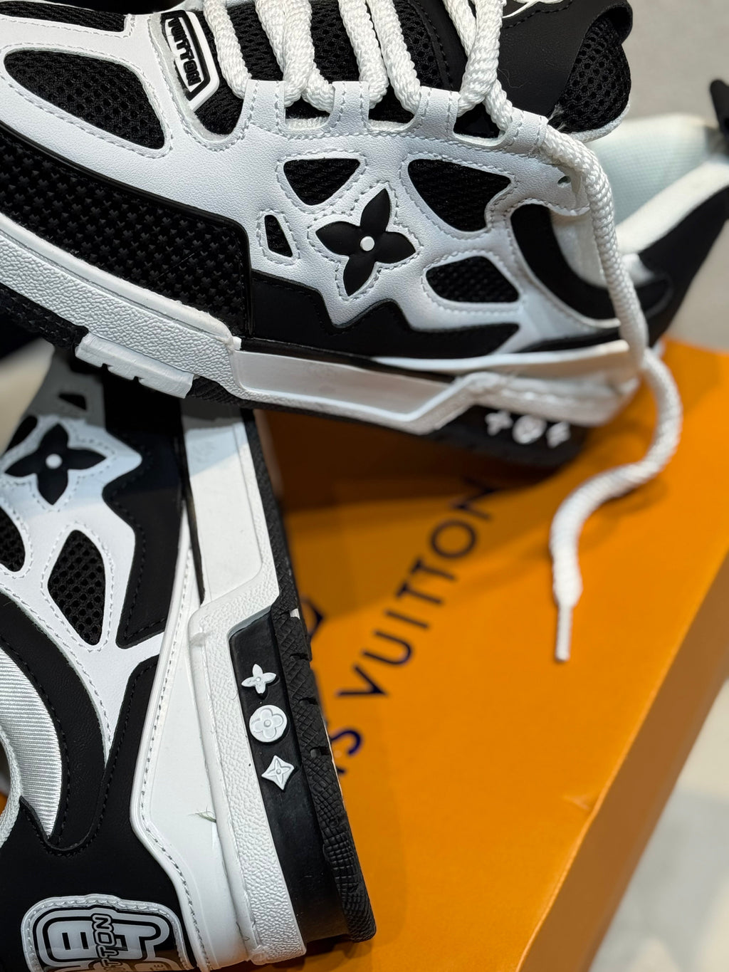 Louis Vuitton skate
