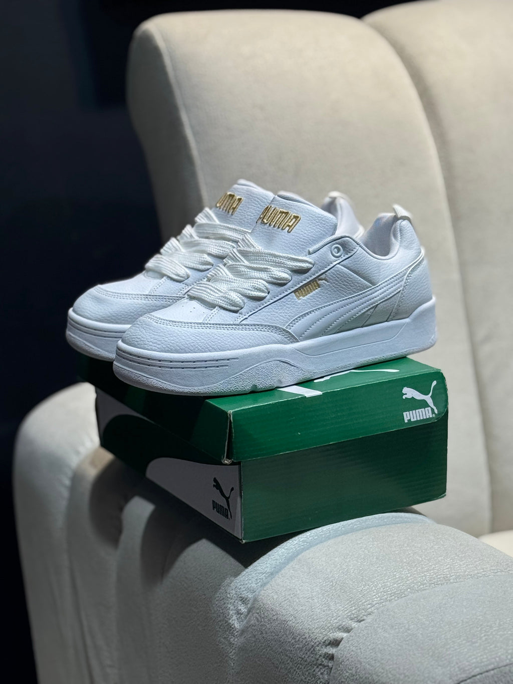 Puma park