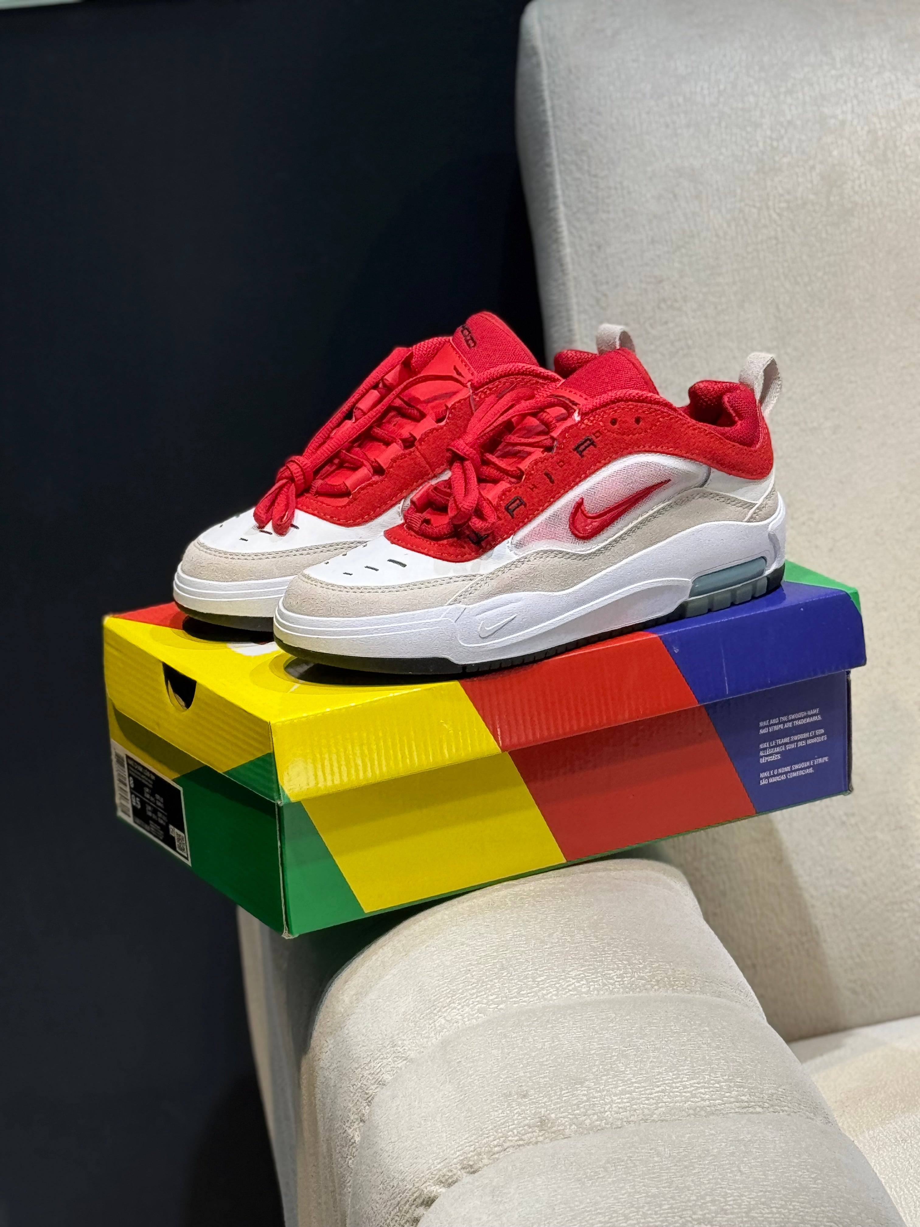 Nike sb ishod