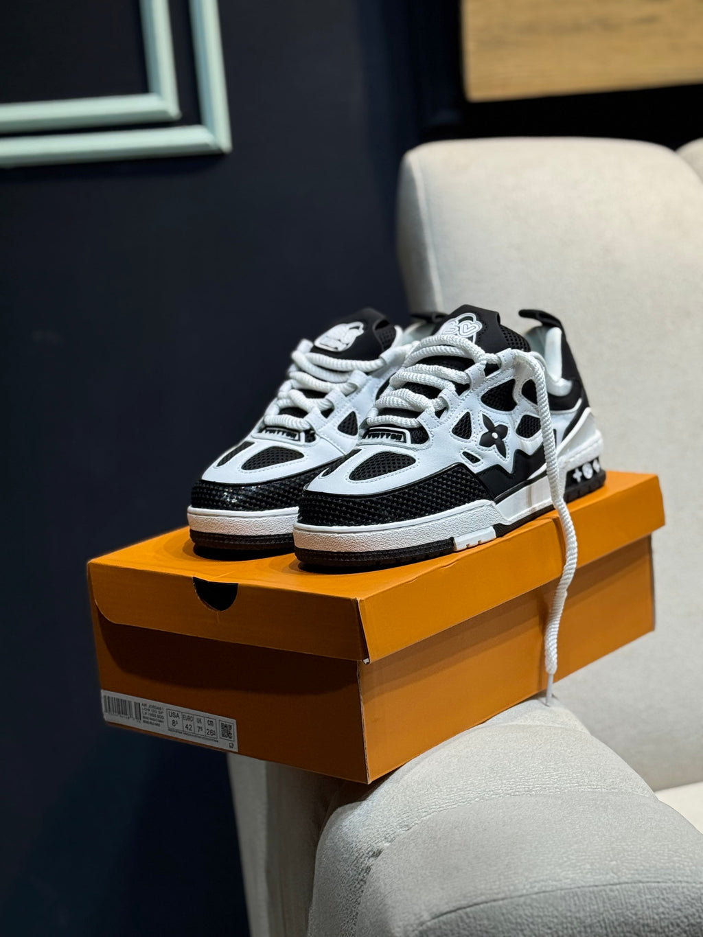 Louis Vuitton skate