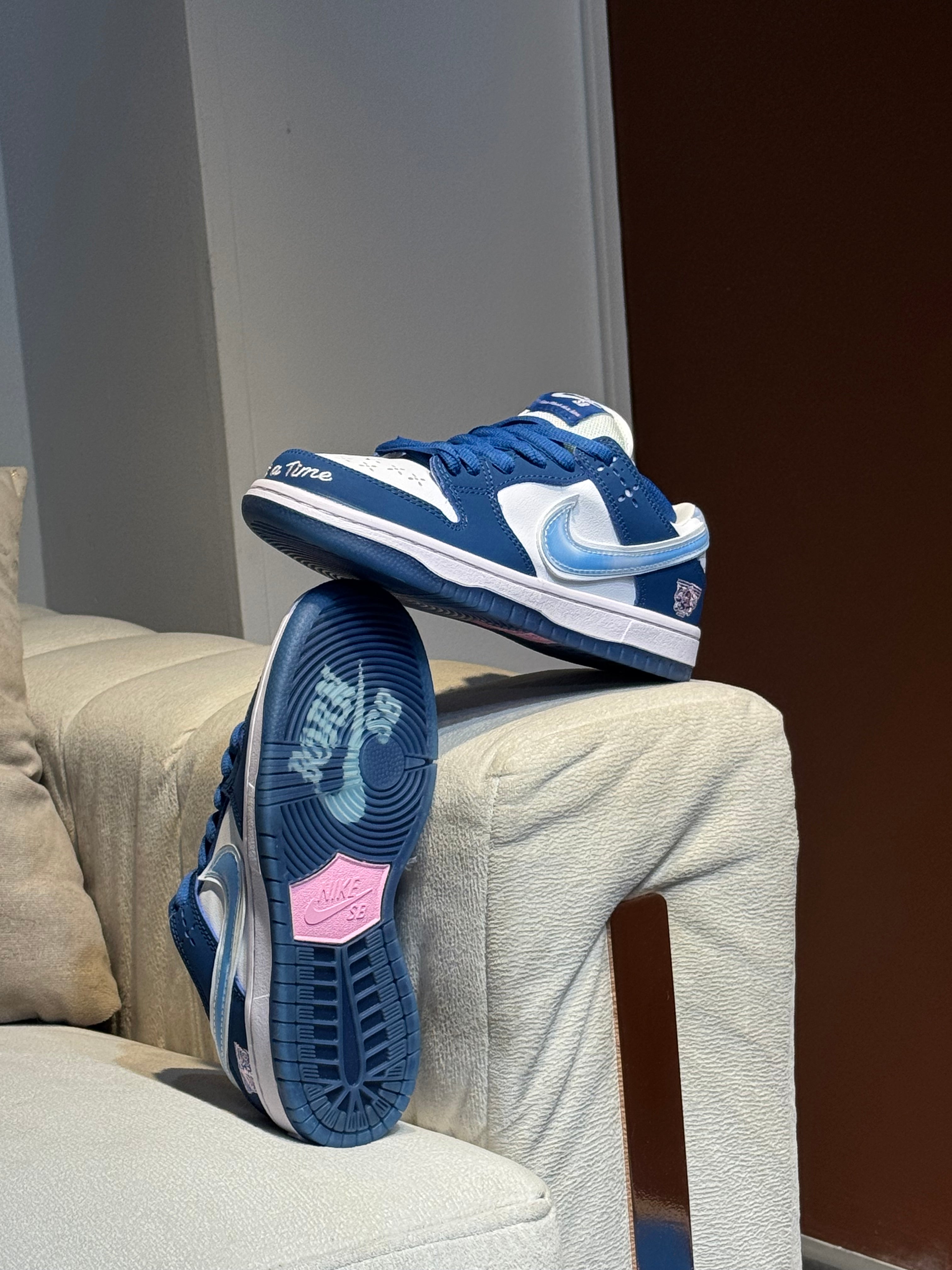 Nike sb dunk born